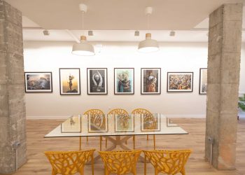 galeria5